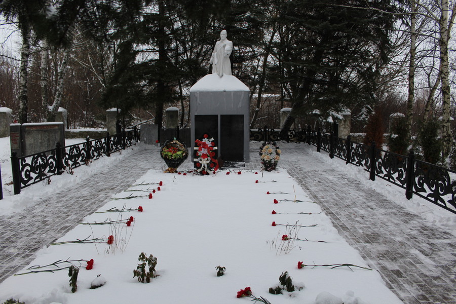 День защитника Отечества.